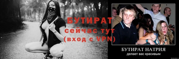 индика Бородино