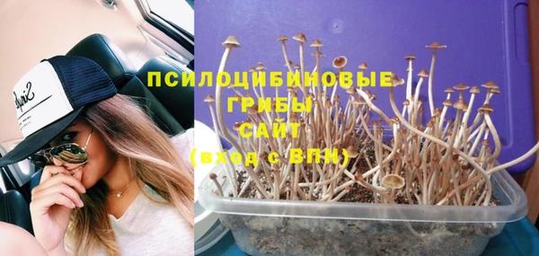 прущая мука Верея