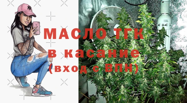 индика Бородино